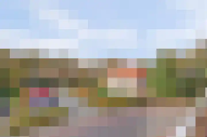 Raadhuisstraat 53 Druten thumbnail 18