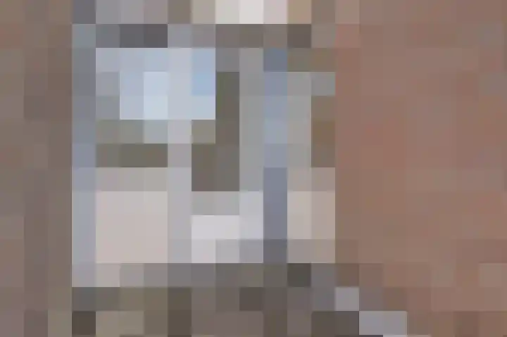 Raadhuisstraat 53 Druten thumbnail 19