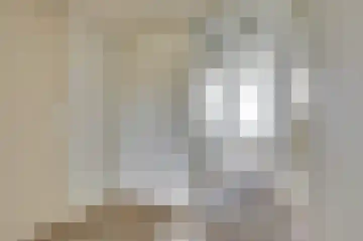 Raadhuisstraat 53 Druten thumbnail 6