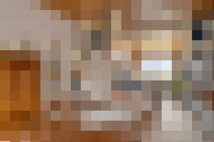 Raadhuisstraat 53 Graft thumbnail 12