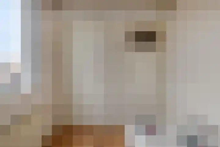 Raadhuisstraat 53 Graft thumbnail 25
