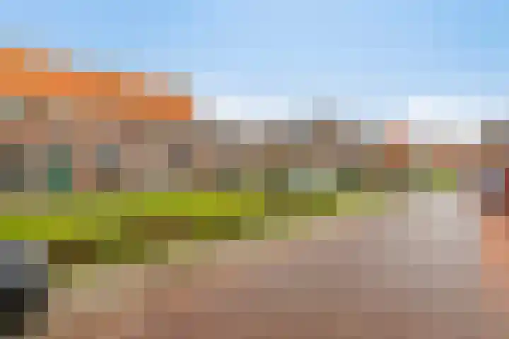 Raadhuisstraat 53 Graft thumbnail 33
