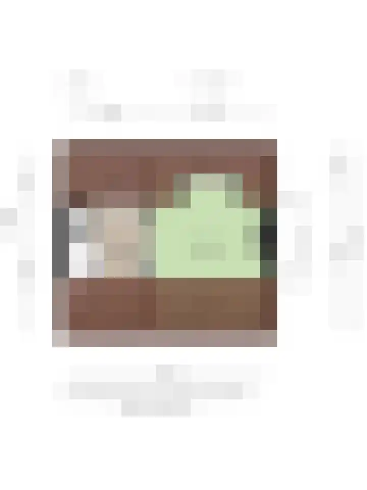 Raadhuisstraat 53 Graft thumbnail 37