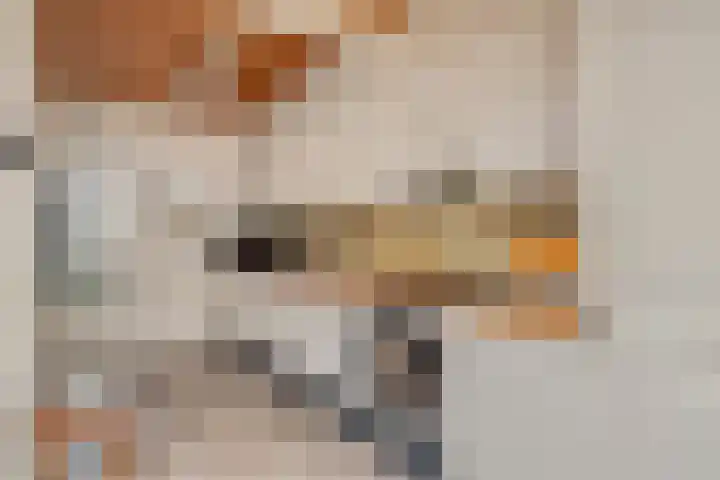 Raadhuisstraat 53 Graft thumbnail 4