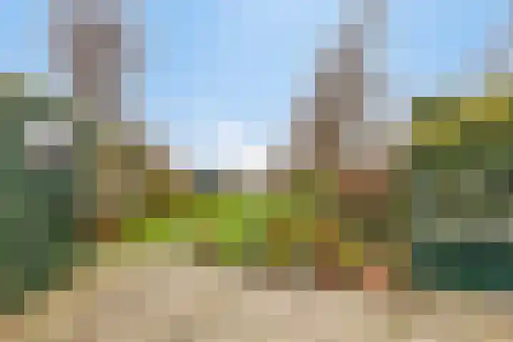 Raadhuisstraat 53 Graft thumbnail 6