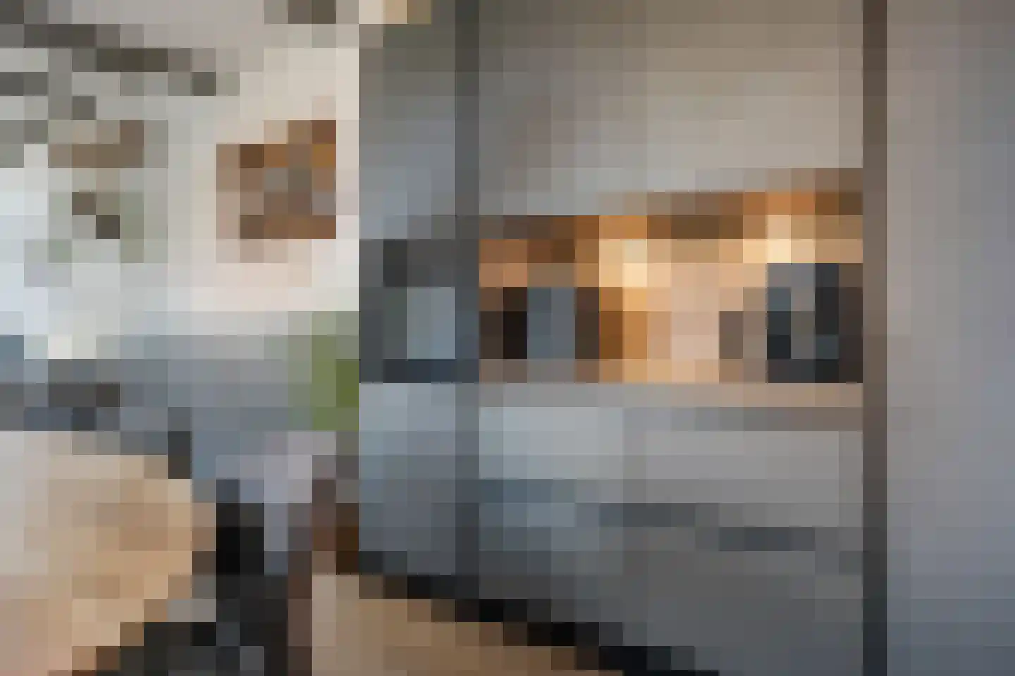 Raadhuisstraat 54 Wildervank thumbnail 12