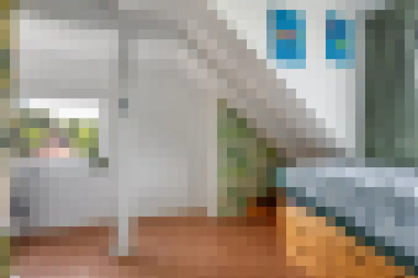Raadhuisstraat 54 Wildervank thumbnail 20