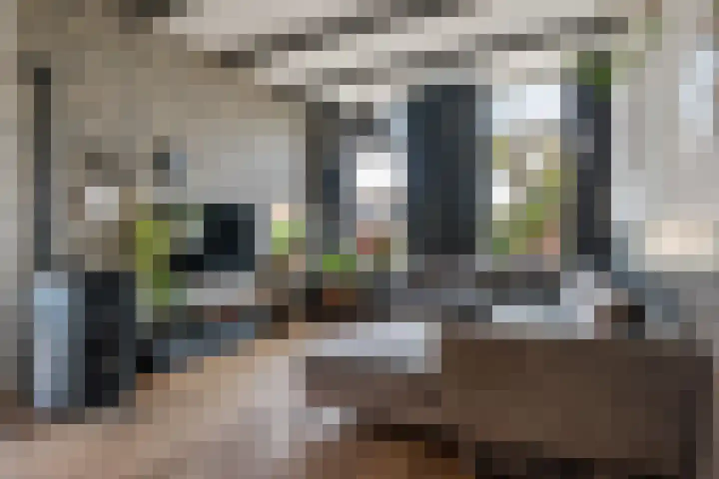 Raadhuisstraat 54 Wildervank thumbnail 4