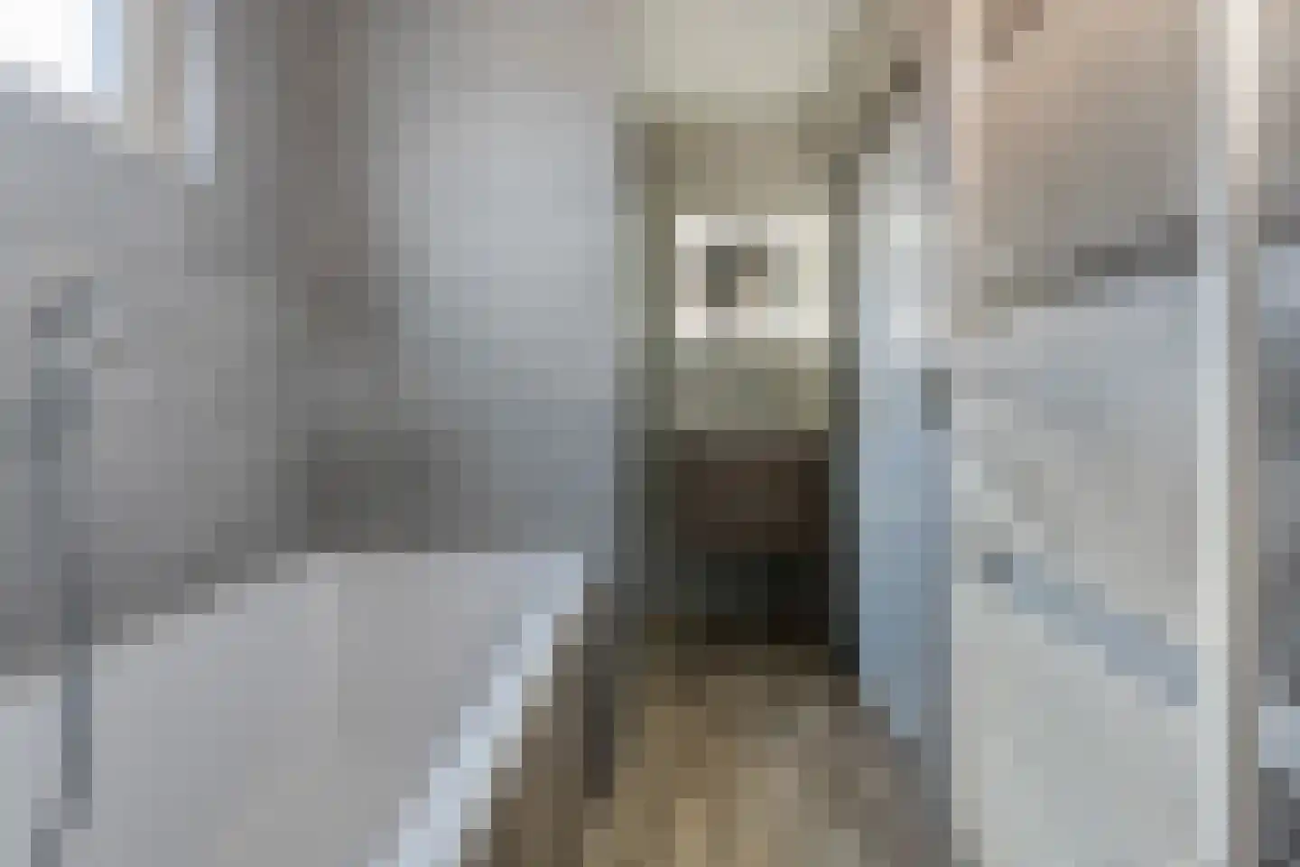 Raadhuisstraat 54 Wildervank thumbnail 5