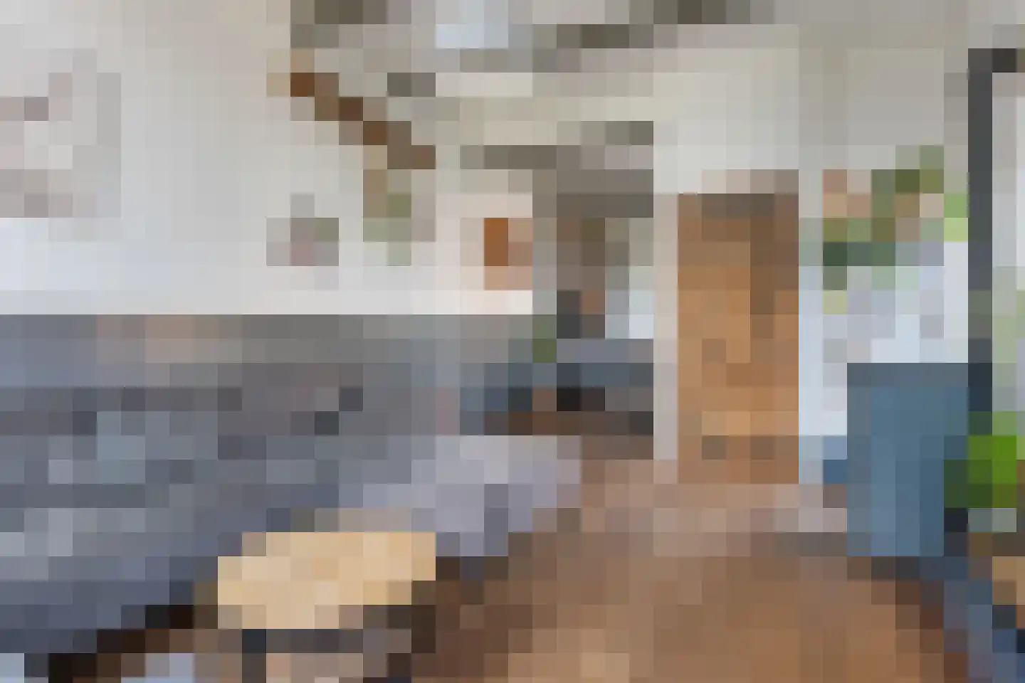 Raadhuisstraat 54 Wildervank thumbnail 8