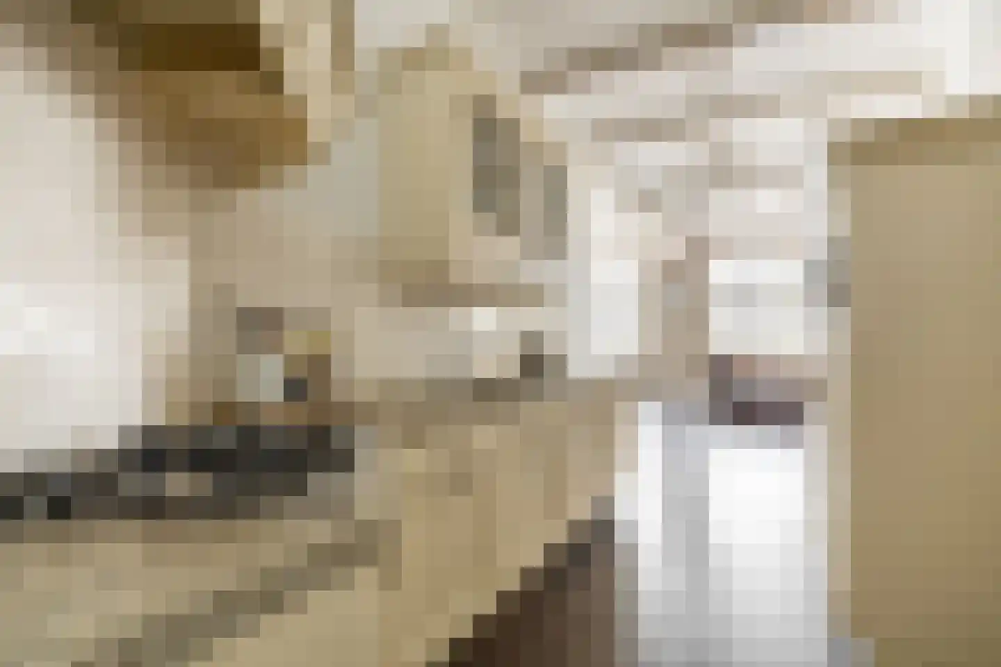 Raadhuisstraat 55 Oosthuizen thumbnail 20