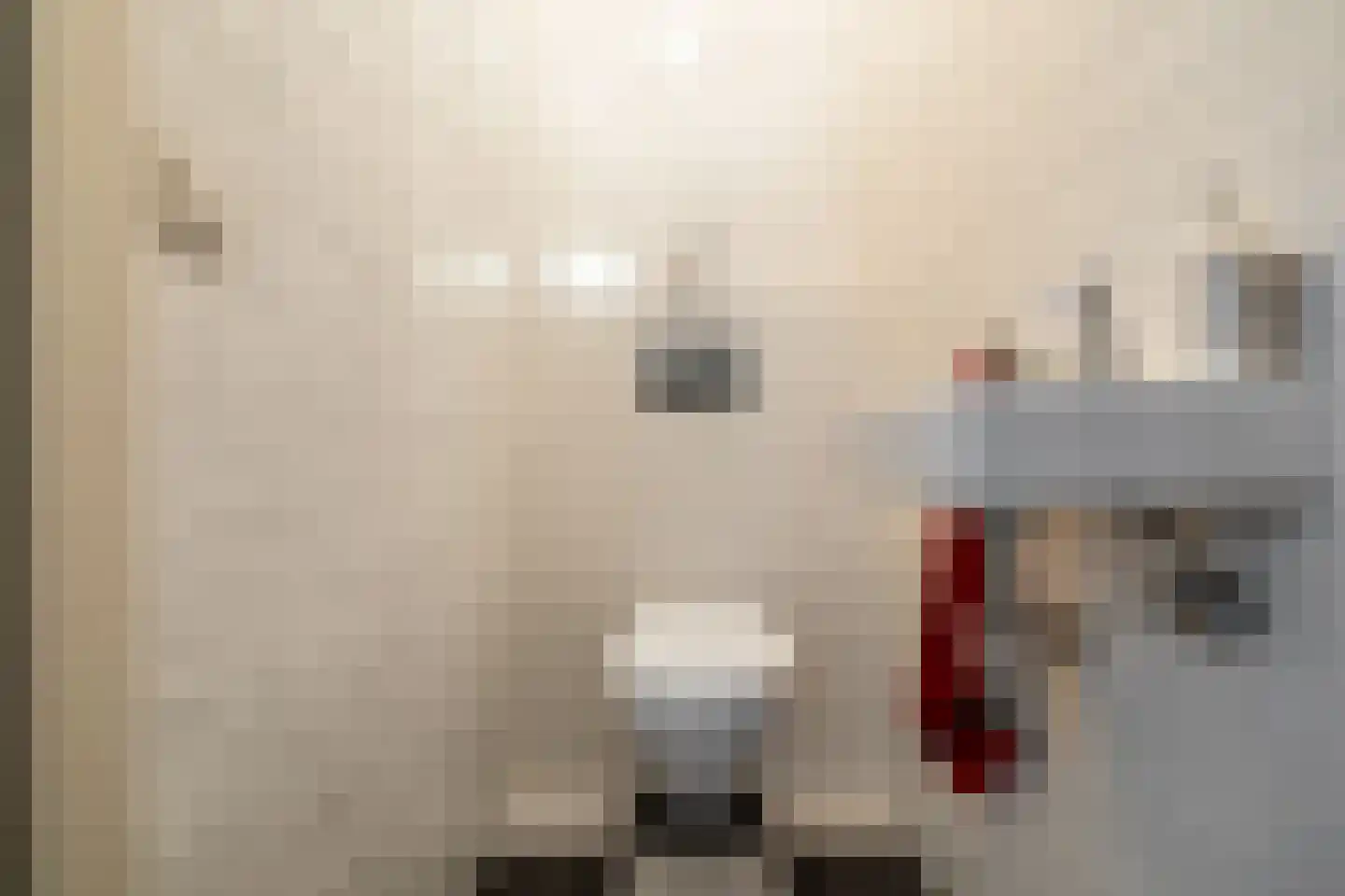 Raadhuisstraat 55 Oosthuizen thumbnail 22