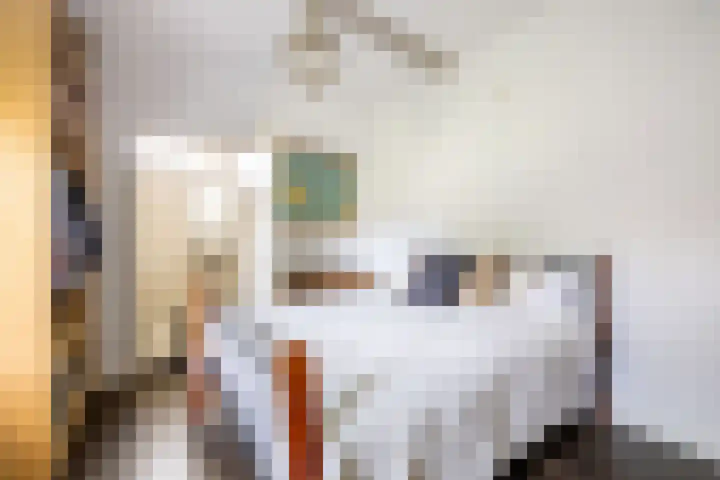 Raadhuisstraat 55 Oosthuizen thumbnail 26
