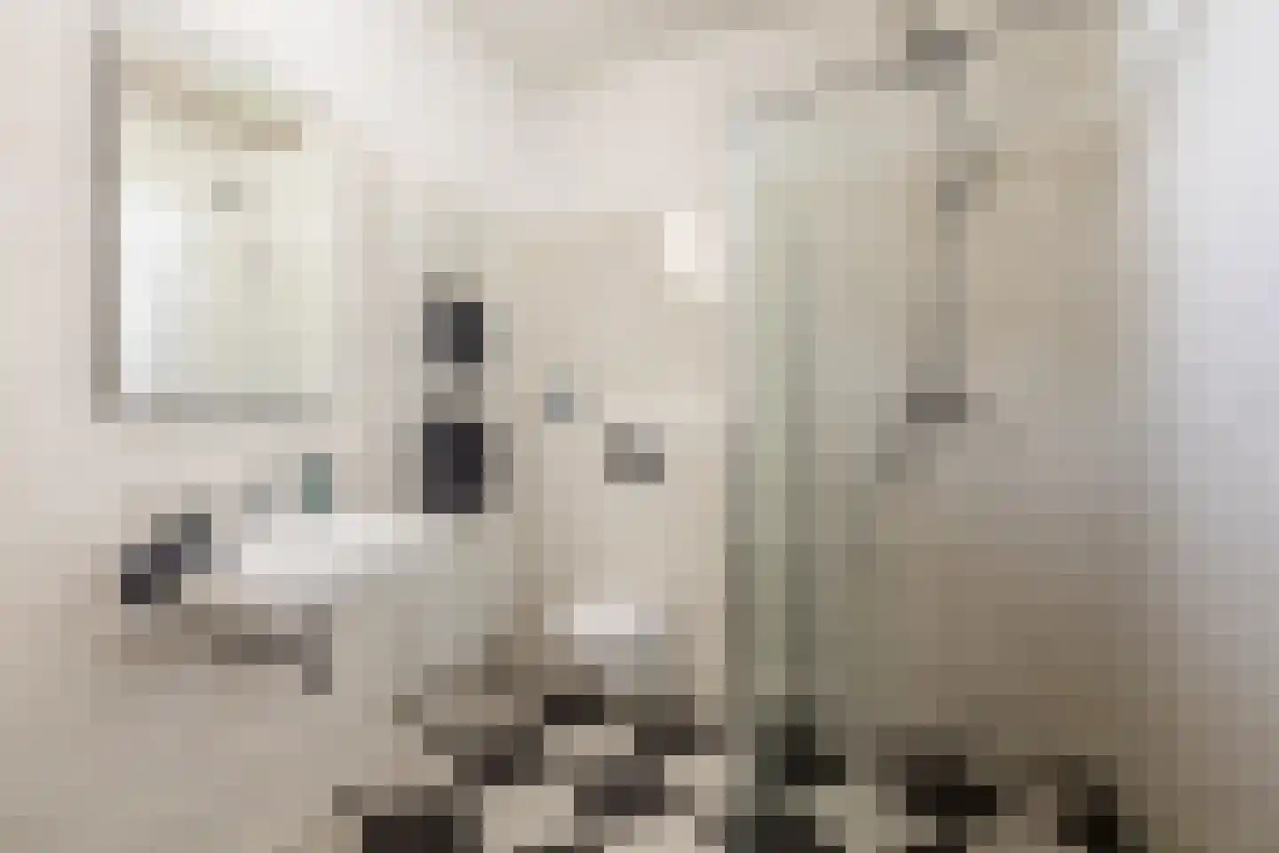 Raadhuisstraat 55 Oosthuizen thumbnail 29