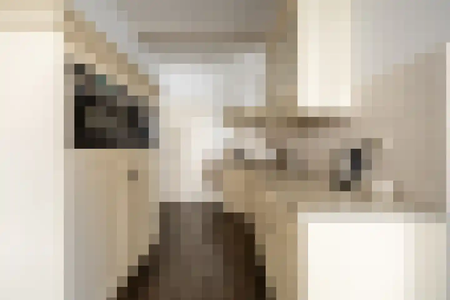 Raadhuisstraat 55 Oosthuizen thumbnail 5