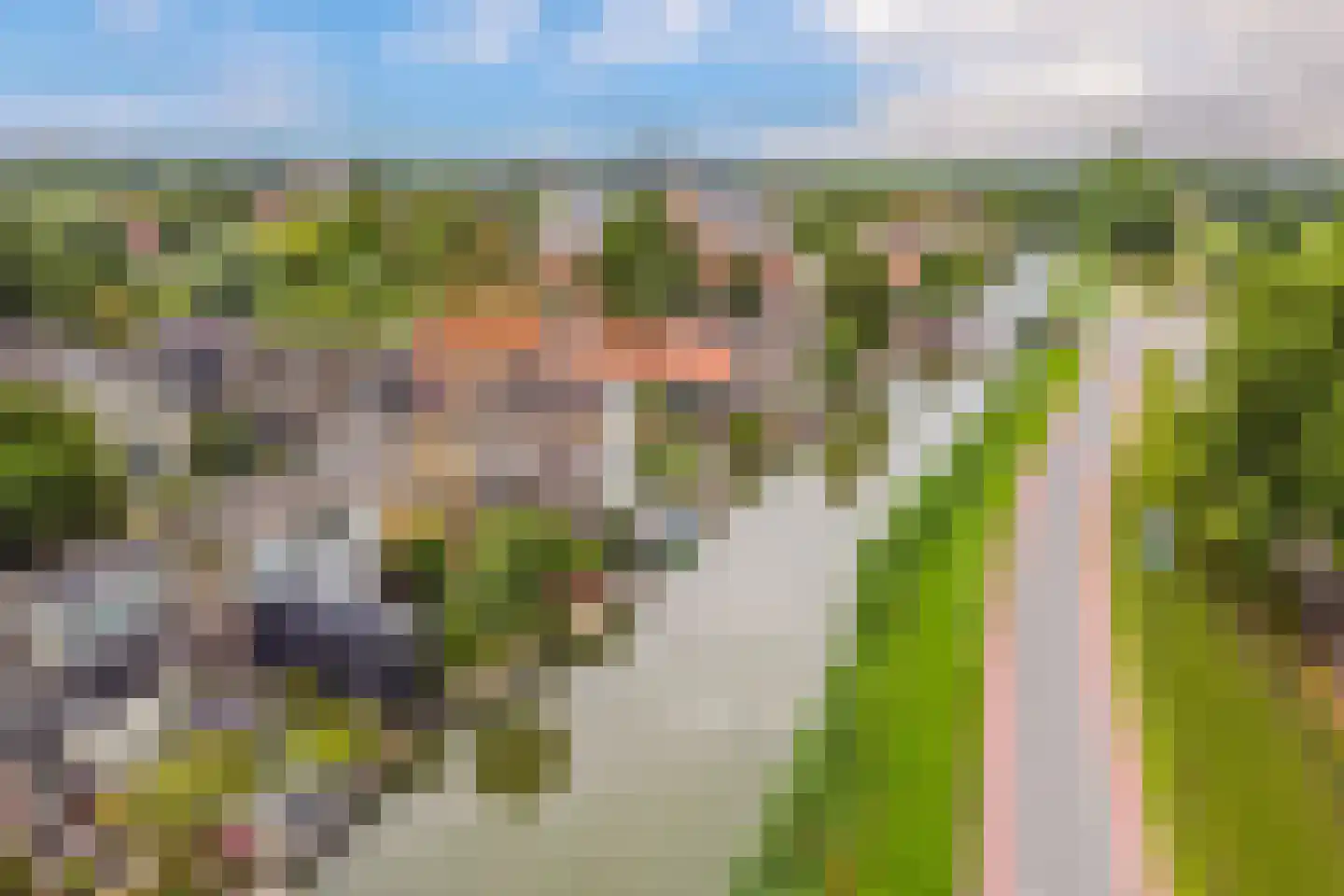 Raadhuisstraat 55 Oosthuizen thumbnail 6