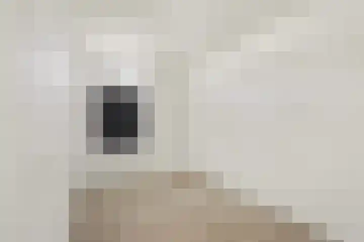Raadhuisstraat 55 Raamsdonk thumbnail 11