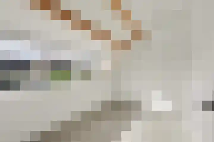 Raadhuisstraat 55 Raamsdonk thumbnail 21