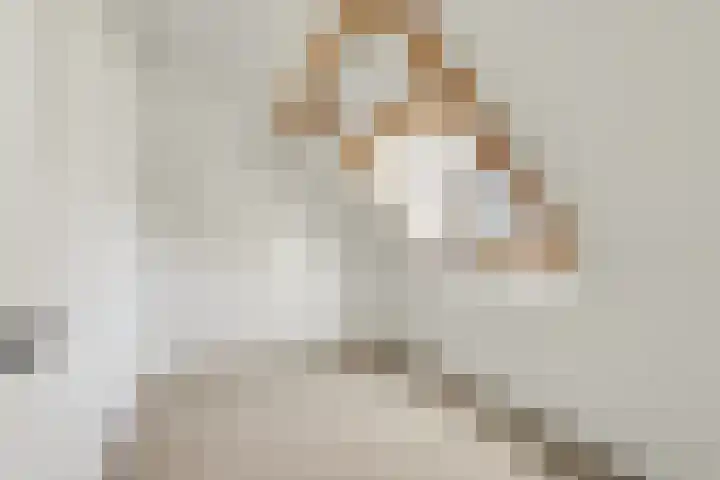 Raadhuisstraat 55 Raamsdonk thumbnail 22