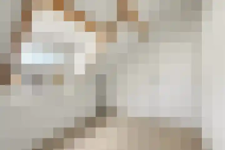 Raadhuisstraat 55 Raamsdonk thumbnail 23