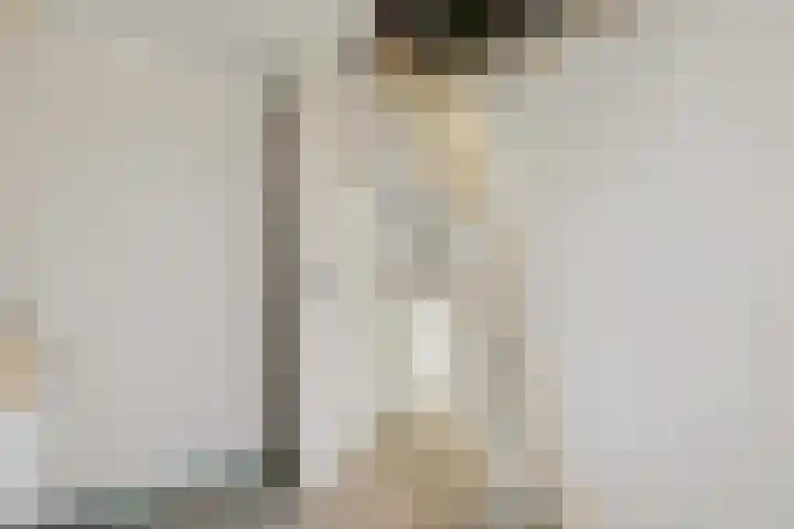 Raadhuisstraat 55 Raamsdonk thumbnail 31