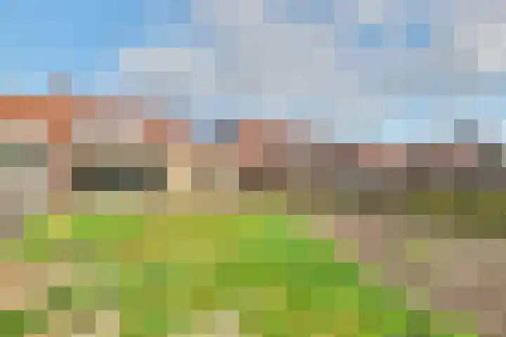 Raadhuisstraat 55 Raamsdonk thumbnail 34