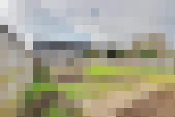 Raadhuisstraat 55 Raamsdonk thumbnail 35