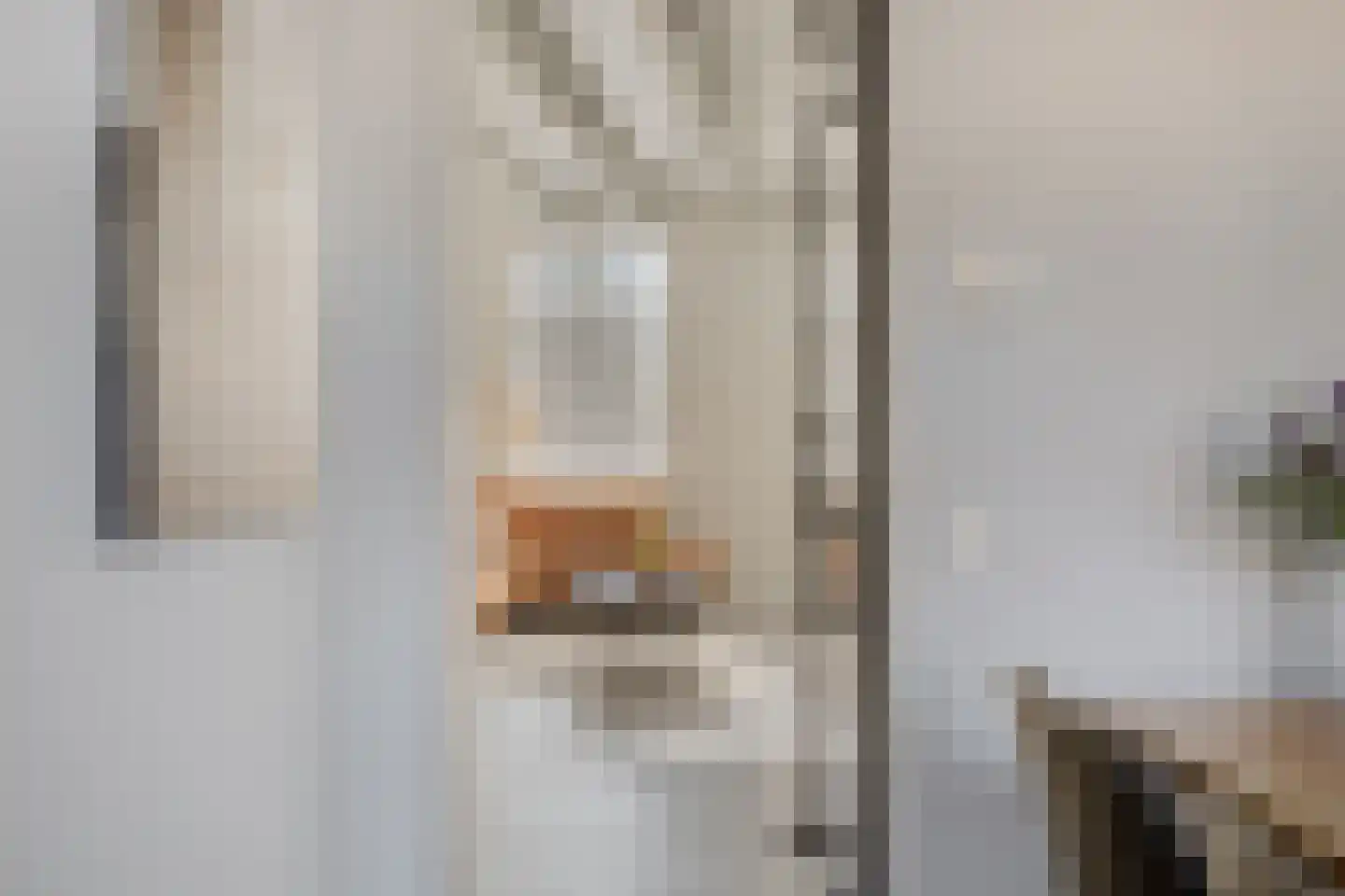 Raadhuisstraat 55 Terheijden thumbnail 12