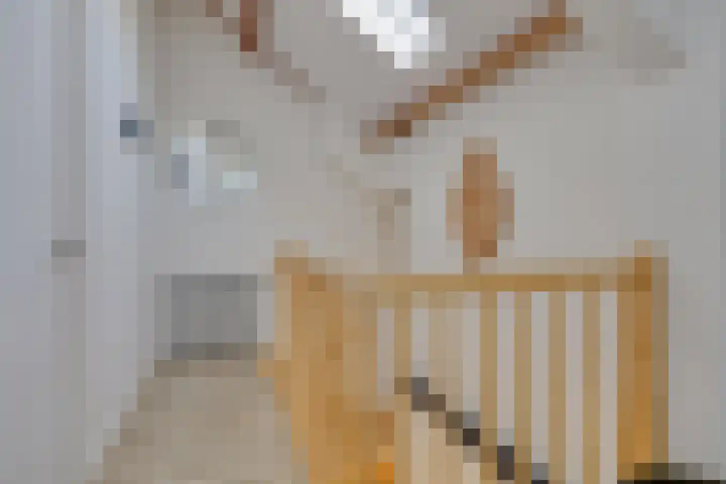 Raadhuisstraat 55 Terheijden thumbnail 15