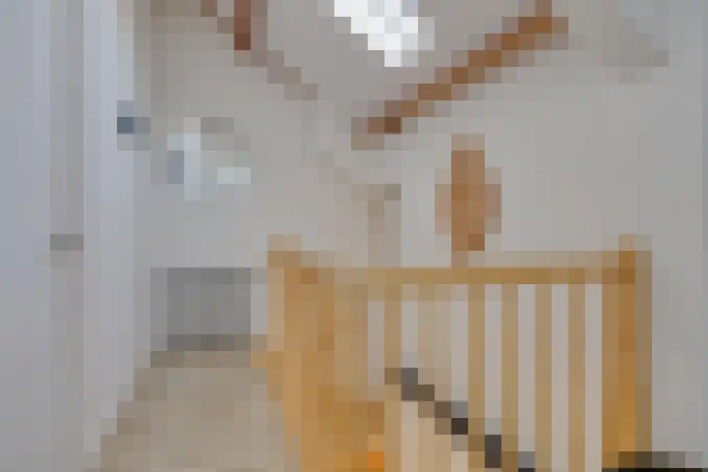 Raadhuisstraat 55 Terheijden thumbnail 15