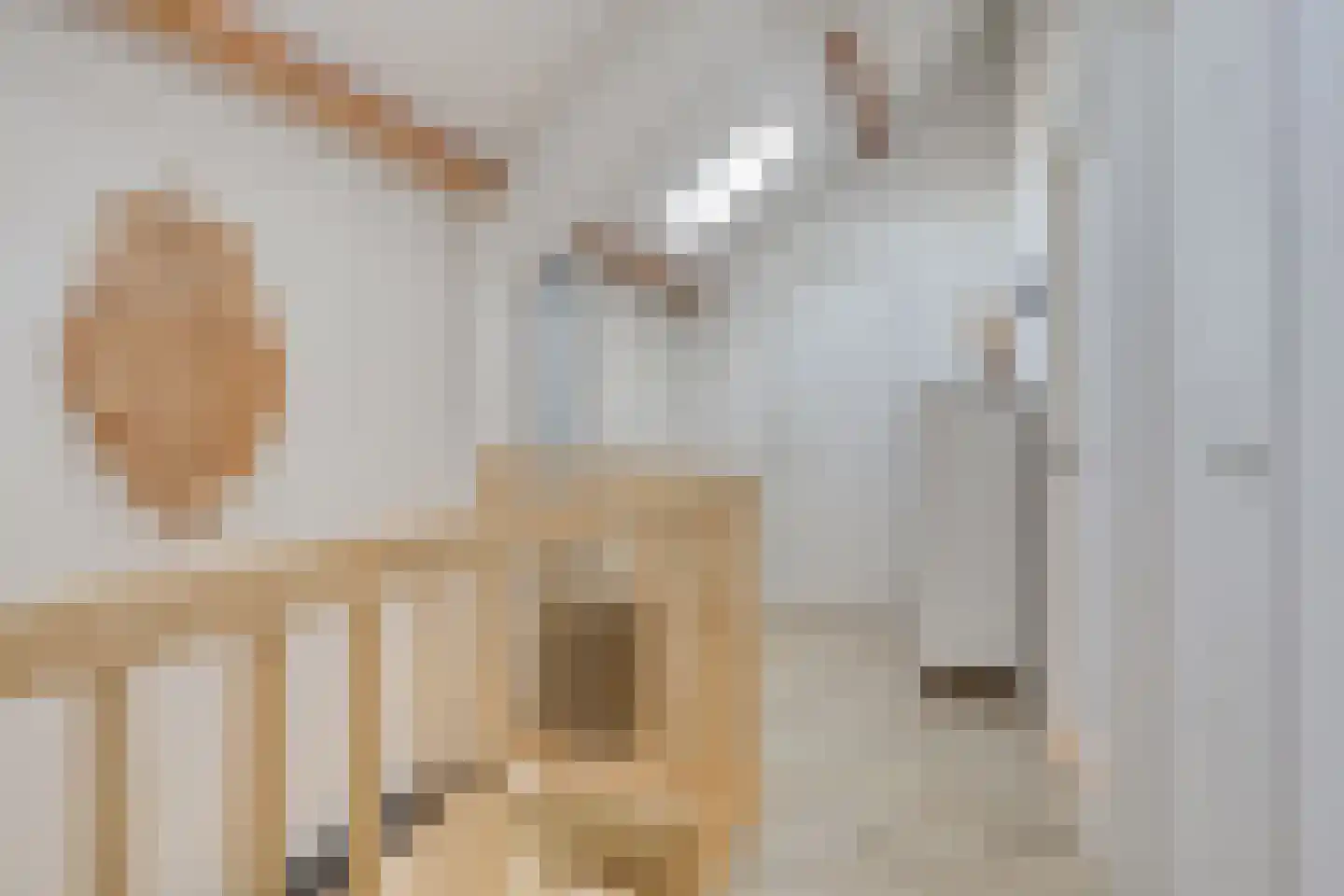 Raadhuisstraat 55 Terheijden thumbnail 16