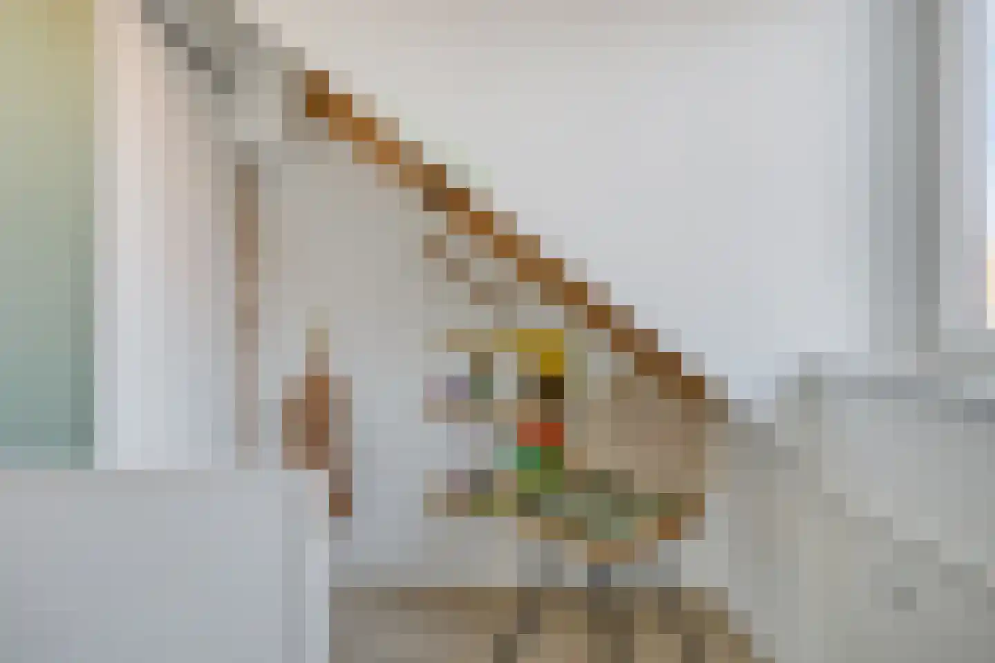 Raadhuisstraat 55 Terheijden thumbnail 19
