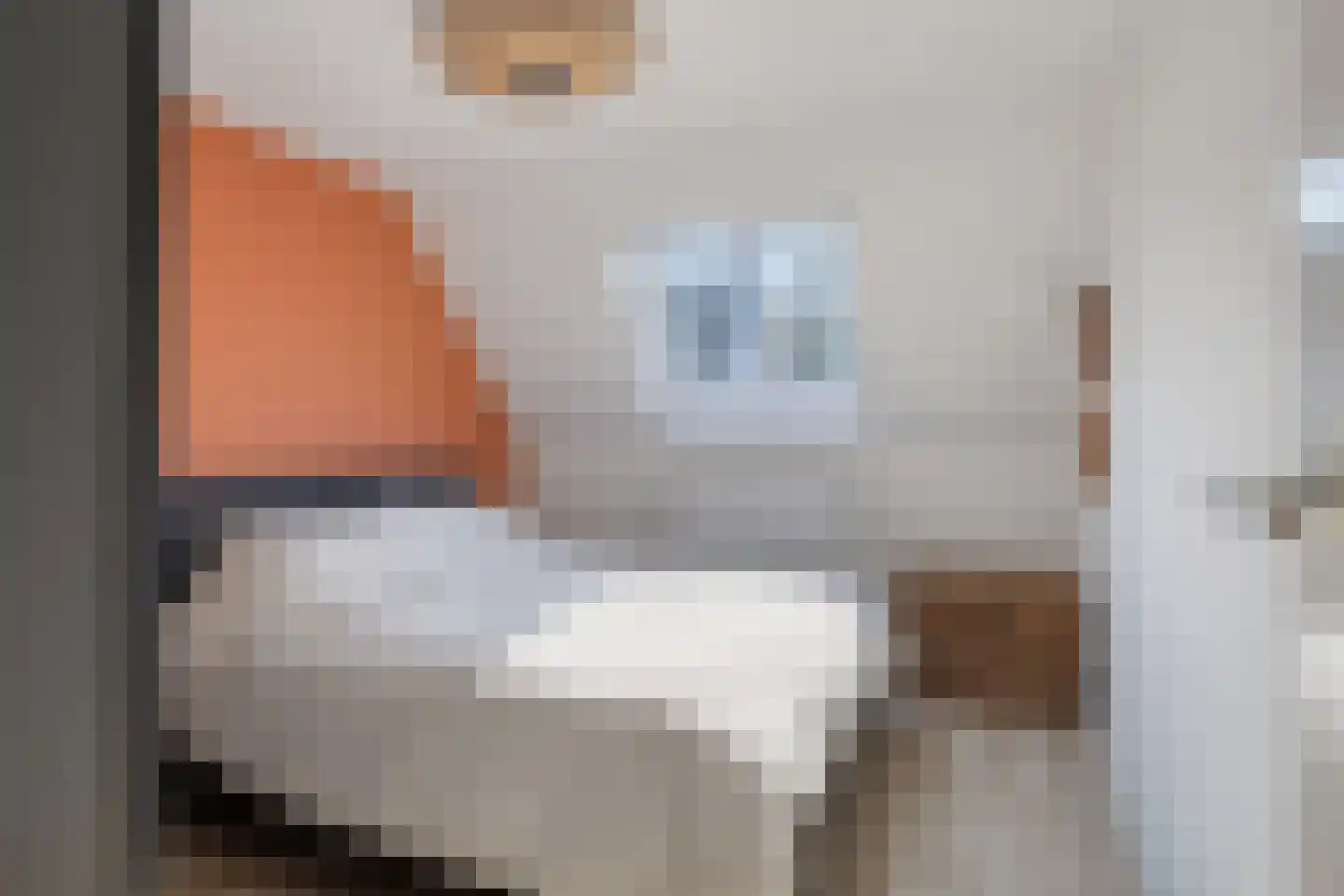 Raadhuisstraat 55 Terheijden thumbnail 20