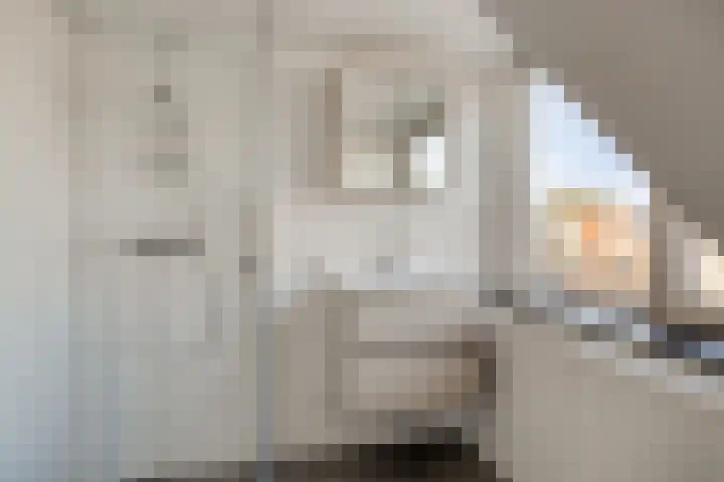 Raadhuisstraat 55 Terheijden thumbnail 22