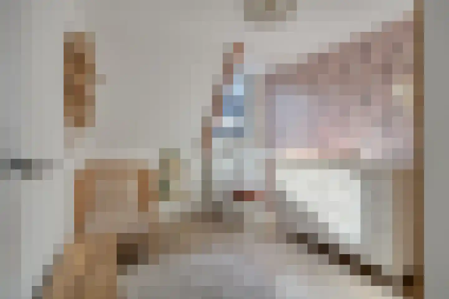 Raadhuisstraat 55 Terheijden thumbnail 24