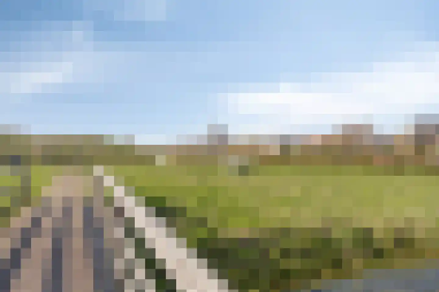 Raadhuisstraat 55 Terheijden thumbnail 30