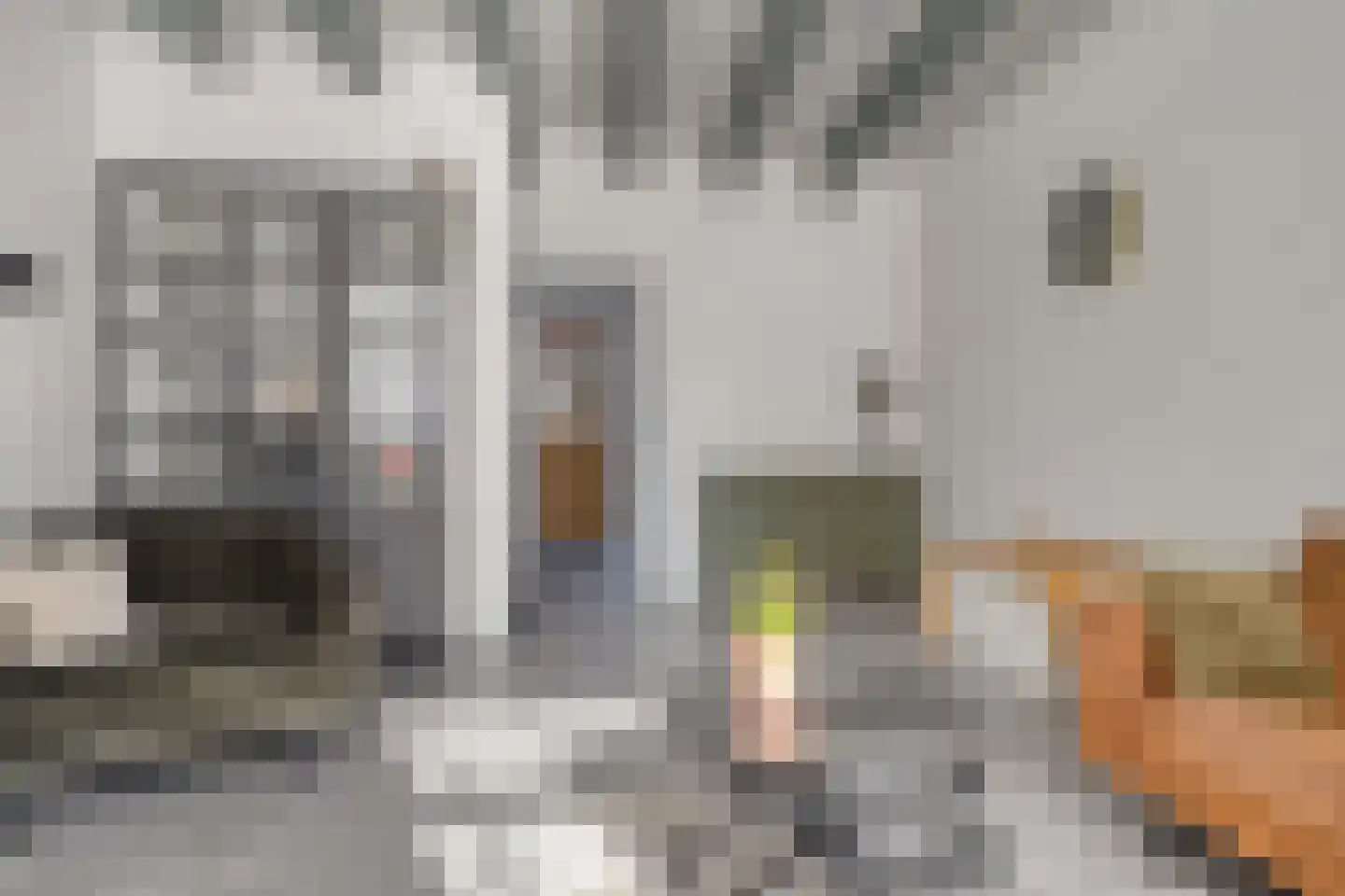 Raadhuisstraat 55 Terheijden thumbnail 7