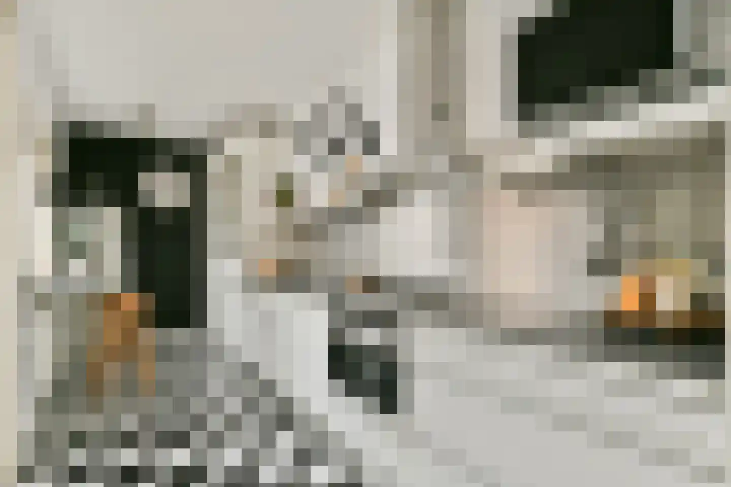 Raadhuisstraat 56 Heemstede thumbnail 10
