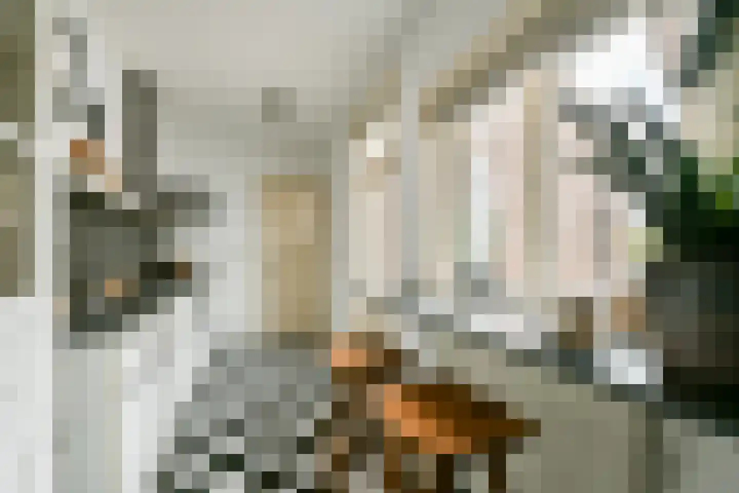 Raadhuisstraat 56 Heemstede thumbnail 11