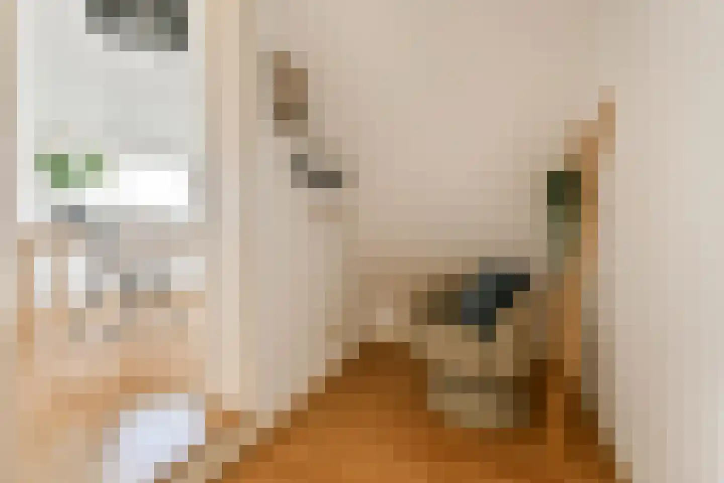 Raadhuisstraat 56 Heemstede thumbnail 21
