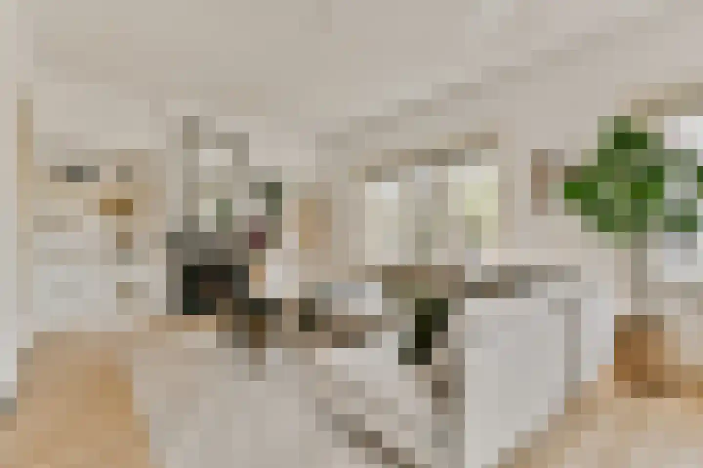 Raadhuisstraat 56 Heemstede thumbnail 5