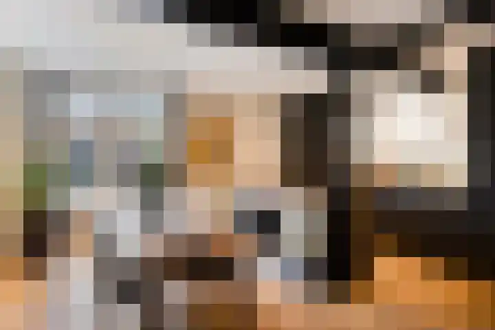 Raadhuisstraat 56 Waalre thumbnail 10