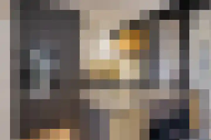 Raadhuisstraat 56 Waalre thumbnail 13