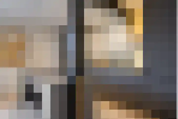 Raadhuisstraat 56 Waalre thumbnail 14