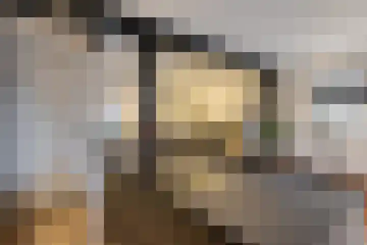 Raadhuisstraat 56 Waalre thumbnail 15