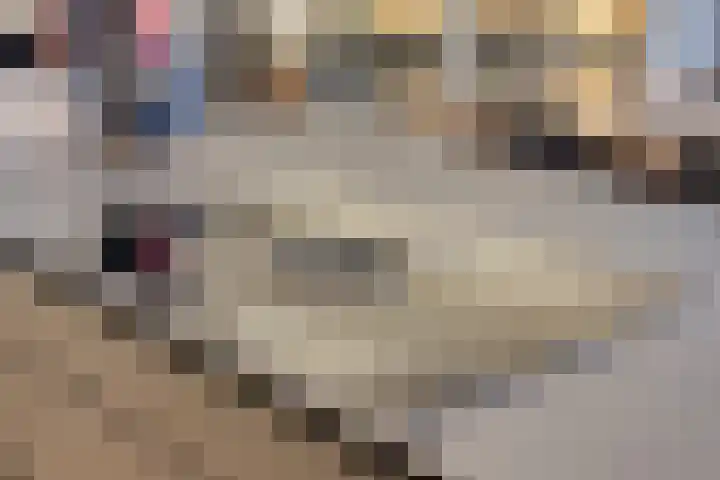 Raadhuisstraat 56 Waalre thumbnail 16