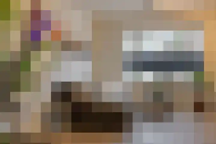 Raadhuisstraat 56 Waalre thumbnail 17