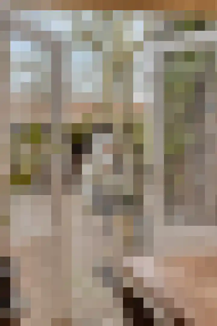 Raadhuisstraat 56 Waalre thumbnail 20