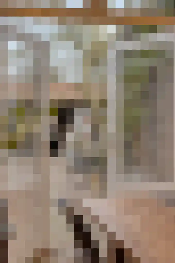 Raadhuisstraat 56 Waalre thumbnail 21