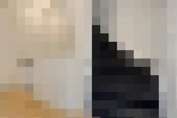 Raadhuisstraat 56 Waalre thumbnail 24